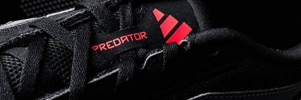 Koleksi Sepatu Olahraga Pria